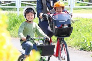 昭和記念公園のレンタサイクルの料金や種類 混雑状況などまとめ 日々の生活を楽しむブログ