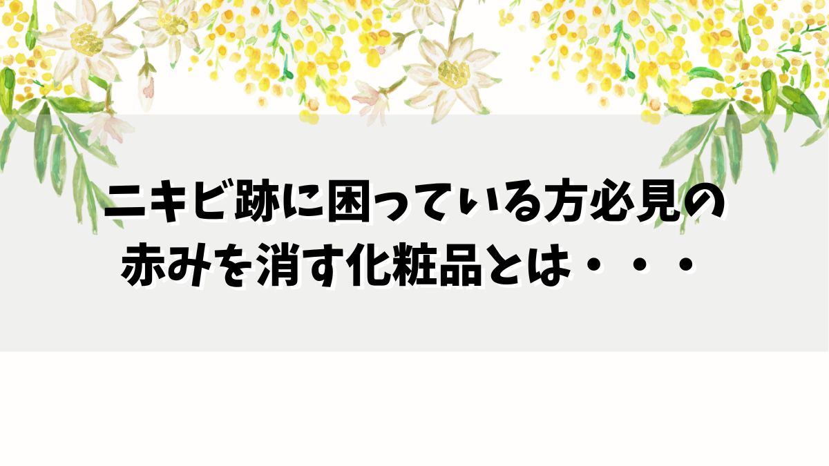 ニキビ跡に困っている方必見の赤みを消す化粧品とは・・・