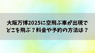 大阪万博2025に空飛ぶ車が出現でどこを飛ぶ？料金や予約の方法は？