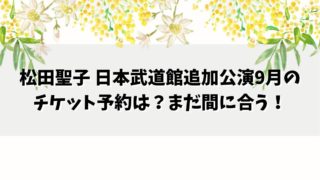 松田聖子 日本武道館追加公演9月のチケット予約は？まだ間に合う！