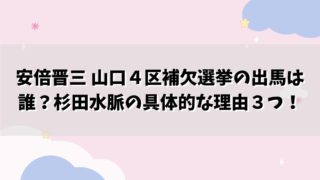 安倍晋三 山口４区補欠選挙の出馬は誰？杉田水脈の具体的な理由３つ！