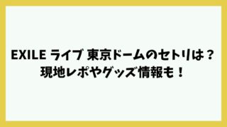 EXILE ライブ 東京ドームのセトリは？現地レポやグッズ情報も！