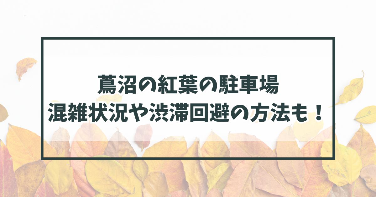 蔦沼の紅葉2024の駐車場どこ？平日・土日の混雑状況や渋滞回避の方法も！