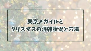 東京メガイルミ2023のクリスマスの混雑状況は？穴場の時間帯も！