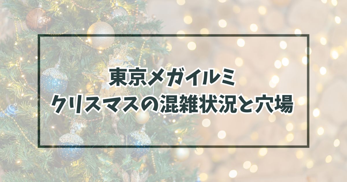 東京メガイルミ2023のクリスマスの混雑状況は？穴場の時間帯も！