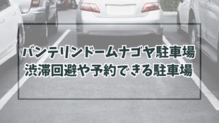 バンテリンドームナゴヤ駐車場どこ？渋滞回避の穴場や民間の予約方法も！