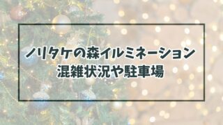 ノリタケの森イルミネーション2023混雑状況は？駐車場やアクセス方法も！