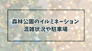 森林公園イルミネーション2023混雑状況は？駐車場やアクセス方法も！