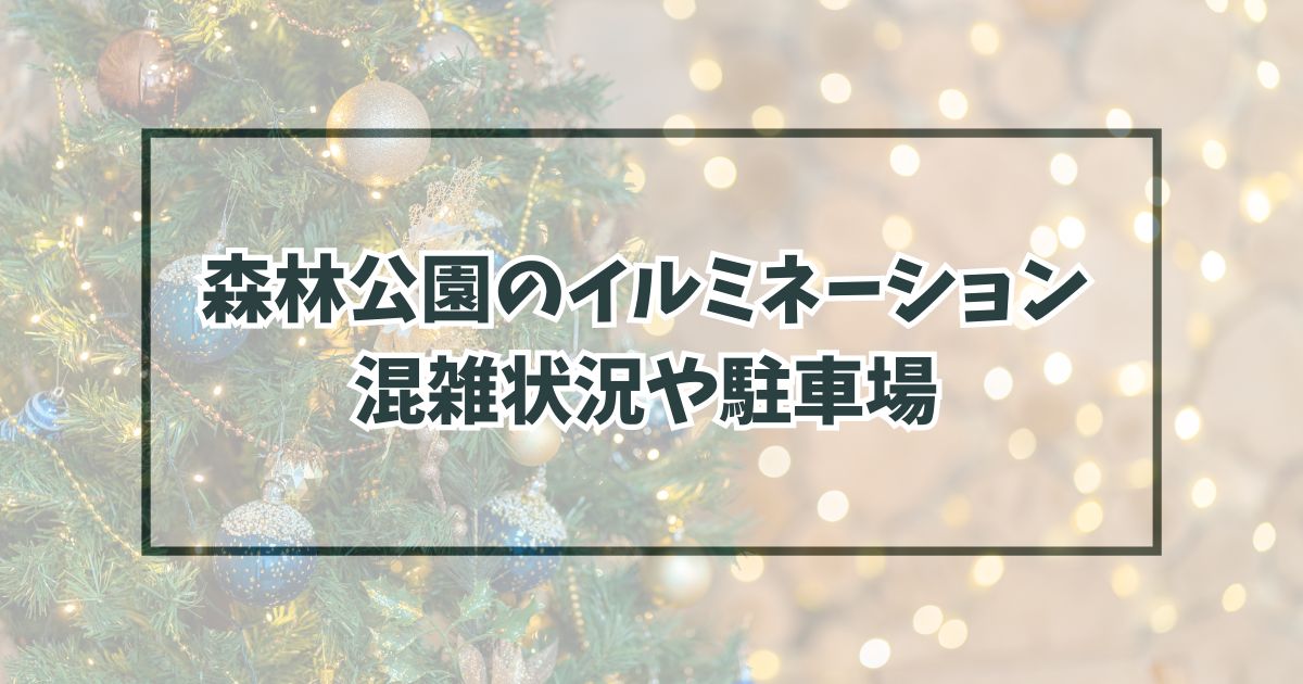 森林公園イルミネーション2023混雑状況は？駐車場やアクセス方法も！