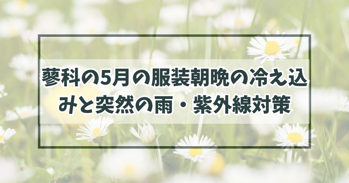 蓼科の5月の服装は？朝晩の冷え込みと突然の雨・紫外線に注意！
