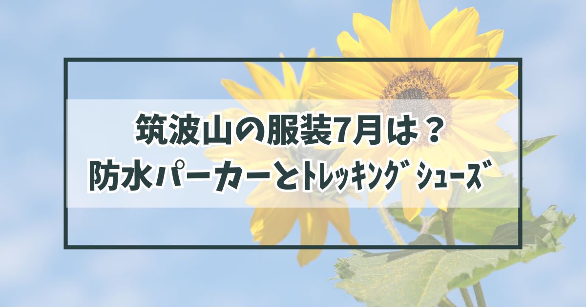 ﾄﾚｯｷﾝｸﾞｼｭｰｽﾞ