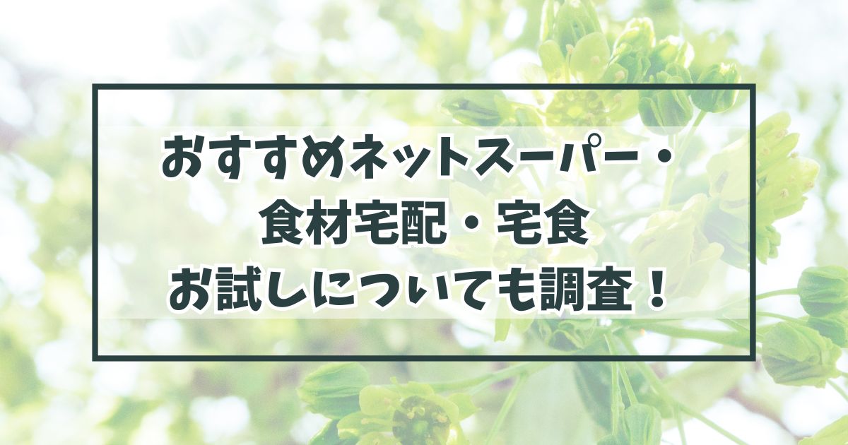 おすすめネットスーパーや食材宅配・宅食を紹介！お試しについても調査！
